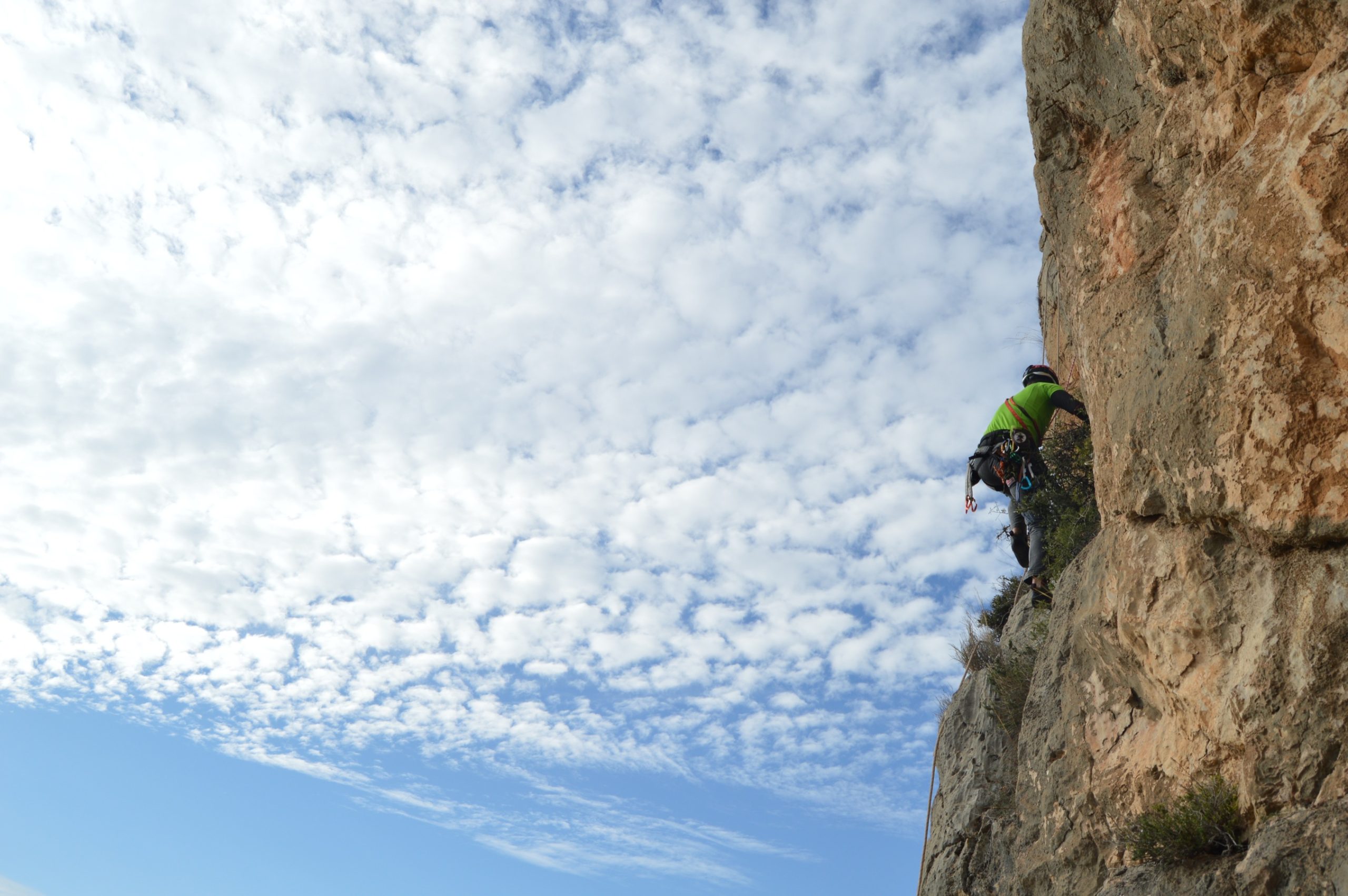 cooperativa eléctrica albatera escala algúeda