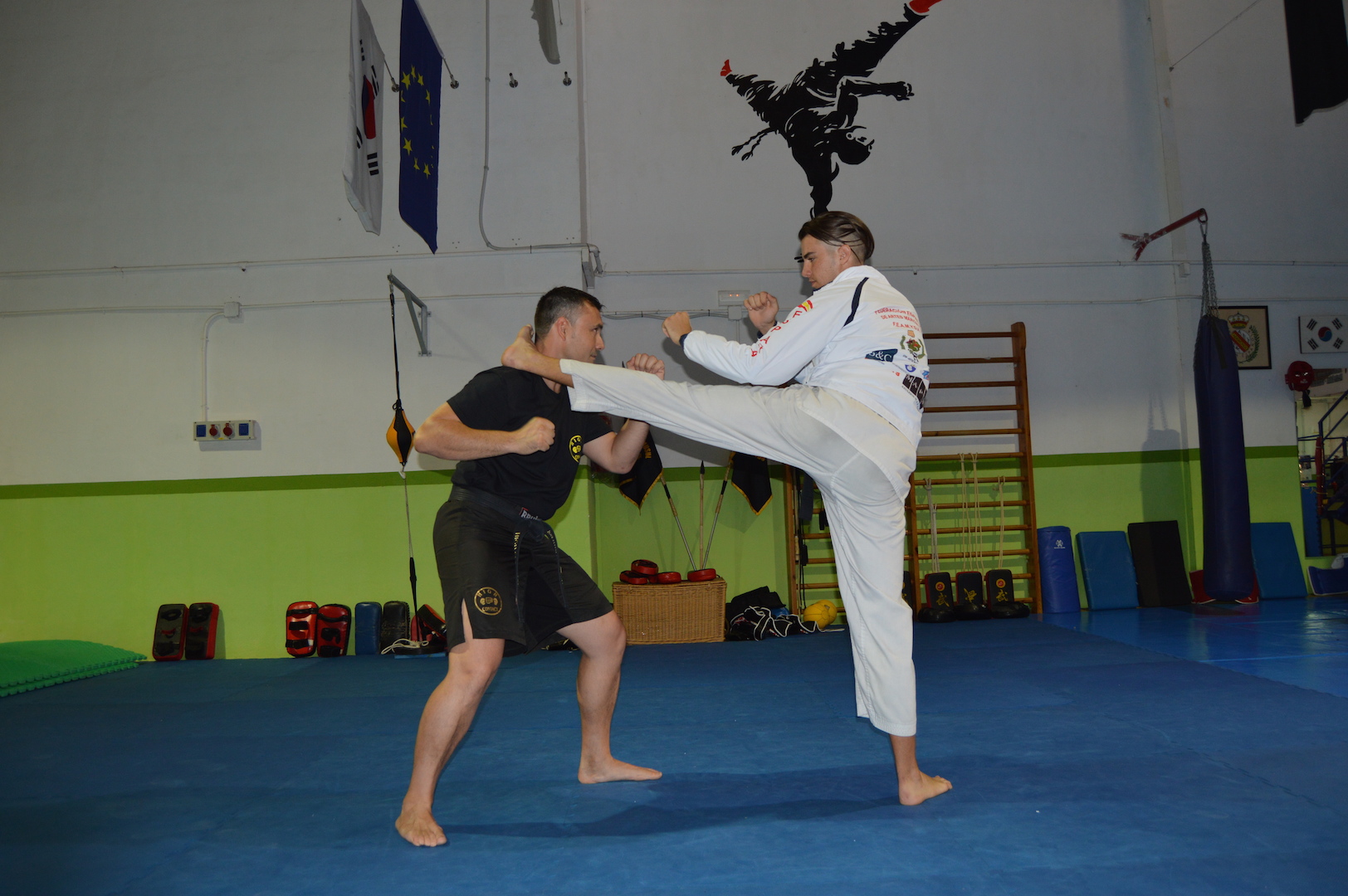 cooperativa-electrica-albatera-artes-marciales_2